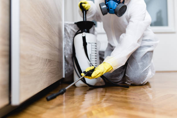 Best Flea Control Services  in Kirtland Af, NM