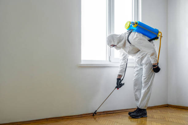 Reliable Kirtland Af, NM Pest Control Solutions