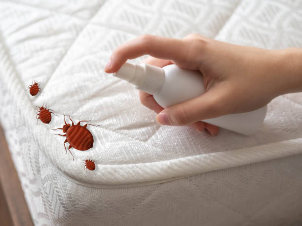 Best Best Pest Control Companies  in Kirtland Af, NM