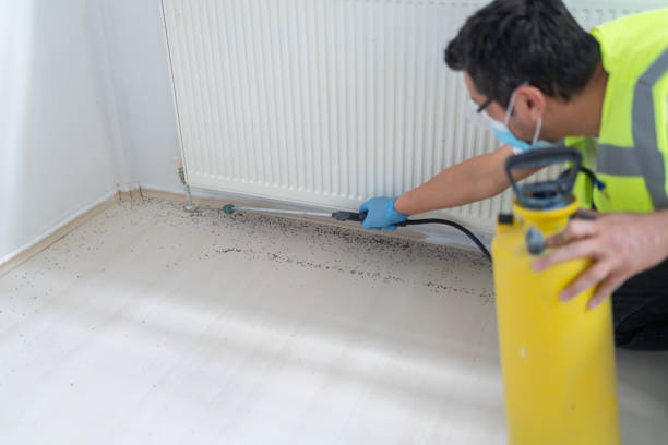 Best Affordable Pest Control Services  in Kirtland Af, NM
